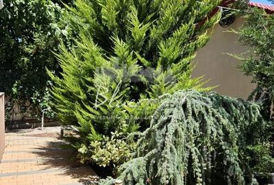 Vila P+1+ pod in Mamaia Sat- Locul unde linistea se simte acasa - 16