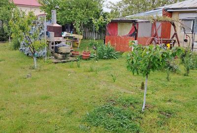 Casă cu 3 camere în Odaia Manolache - 6