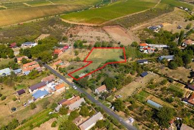 Teren Construcții intravilan de 4184 mp, în Miniș - 7