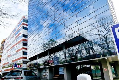 Spații comerciale stradale – Pretabile showroom / servicii medicale / automotive - 4