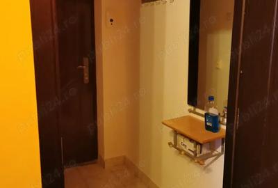 Garsonieră semidecomandată în Lugoj - 3