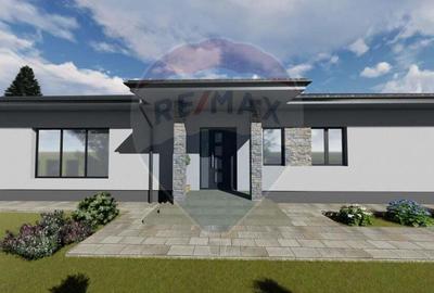 Oportunitate- Casa de vanzare Sacalaseni - 13