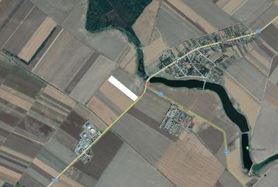 Teren agricol extravilan de 25000 mp, în Tămădău Mare