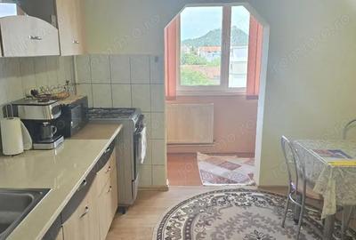 Vand apartament 2 camere decomandat in Deva, zona Liliacului, mobilat - 11