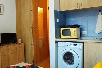 Proprietar inchiriez garsoniera Calea Aradului Proprietar inchiriez garsoniera Calea Aradului - 2