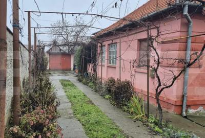 Casă cu 1 camere cu Teren 1306 Mp în Careiului - 6