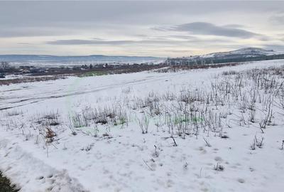 Spațiu comercial, în Sărata - 7