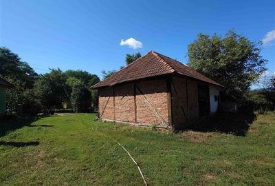 Casă individuală cu 2 camere cu Teren 9223 Mp în Baia de Criș - 7