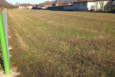 Teren de 3000 mp, în Subcetate - 1