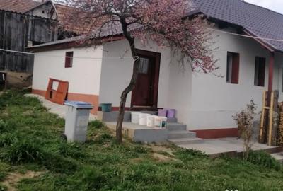 Casă cu 3 camere cu Teren 900 Mp în Sânmihaiu Almașului - 7