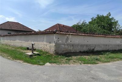 Casă cu 5 camere cu Teren 2500 Mp în Cociuba Mică - 10