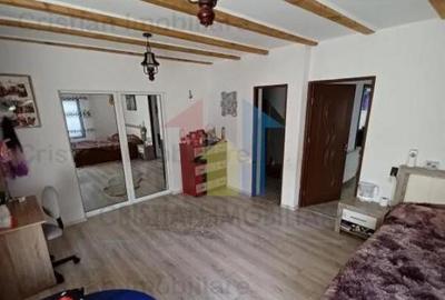 Vila P M 240mp utili si 400mp teren Radu Negru - 1