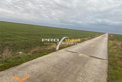 Teren de 4200 mp, în Corbu - 10