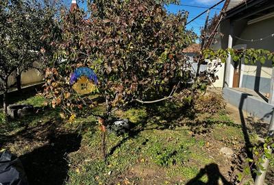 Casa + teren 919 mp – Dumbrava Rosie, jud. Neamt - 4