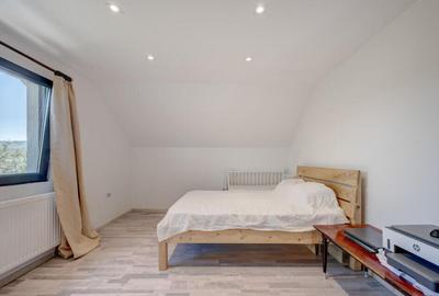 Casa de Maneciu Pamanteni, singur curte - 7