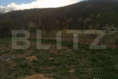 Casă cu 4 camere cu Teren 1800 Mp în Central