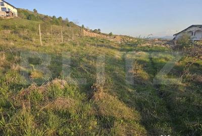 Teren de 1150 mp, în Sălicea - 3