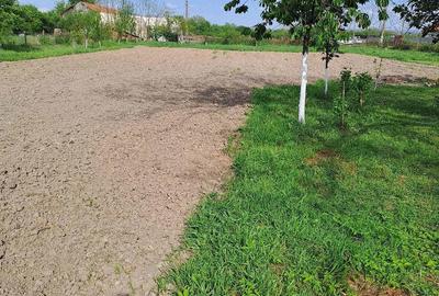Casă cu 3 camere cu Teren 2877 Mp în Bethausen - 4