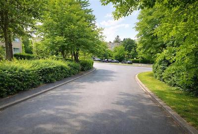 Garsonieră decomandată, mobilată în Gemenii - 2