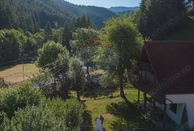 Casa / Vila cu 6 camere, in inima naturii, comision zero pt cumparator - 7