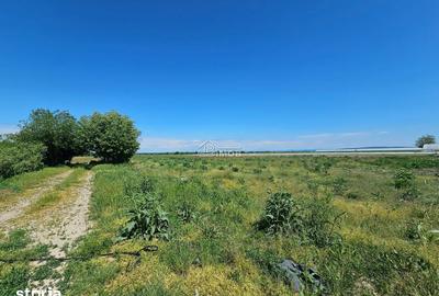 Teren de 10900 mp, în Băleni - 3