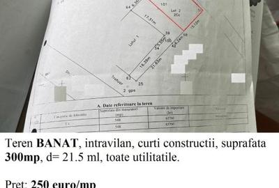 Teren Construcții intravilan de 300 mp, în Banat