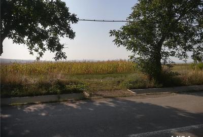 Teren de 5000 mp, în Cristești - 8