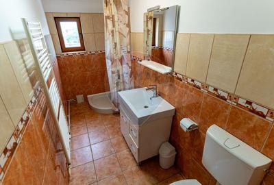 Vila /Pensiune 6 camere in Cristur, jud Hunedoara - 39