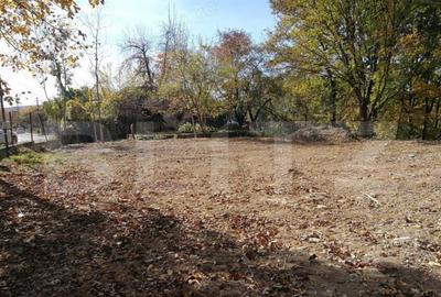 Teren Intravilan 1561mp Pucioasa - 4