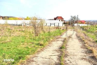 Teren de 800 mp, în Aninoasa - 5