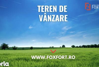 Teren de 640 mp, în Dumbrăvița - 1