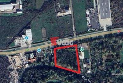 Proprietate unica in Remetea, 7500 mp - 1