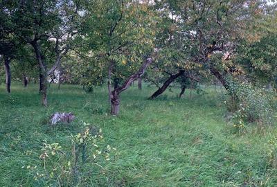 Casă cu 3 camere în Moldovenești - 2