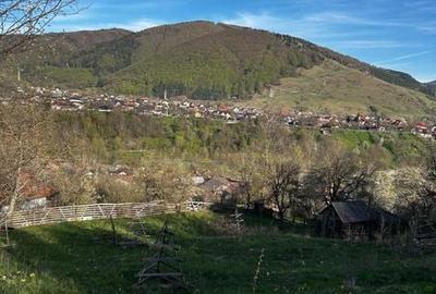 Teren de 2500 mp, în Valea Doftanei - 3