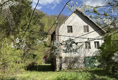 Casă cu 4 camere în Chișcău - 6