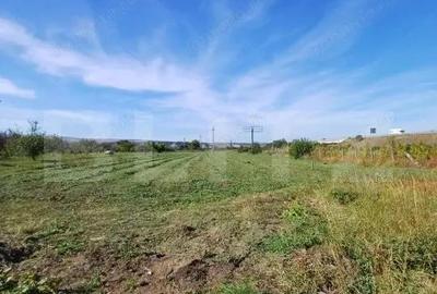 Teren extravilan, cu CF, 2963 mp, in Mihai Viteazu - 4