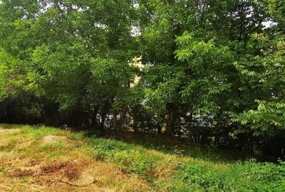 Teren Moroasa 1000 mp intravilan negociabil - 12