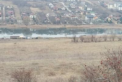 Casă individuală cu 4 camere cu Teren 2500 Mp în Copou - 3