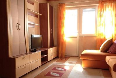 Garsoniera zona tei parc plumbuita - 2