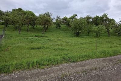 Teren de 1150 mp, în Mihai Viteazu - 5