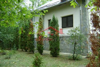 Casă cu Teren 916 Mp în Cornu - 2