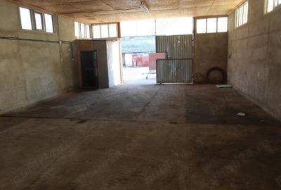 Spațiu comercial, de 250 mp, în Ineu - 2