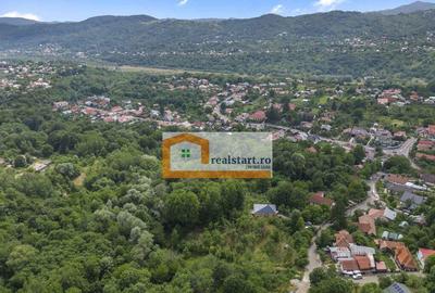 Cornu, Vedere la Padure, Vila D+P+M, 6600mp teren, 4 parcare - 8