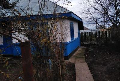 Vand casa batraneasca - 2