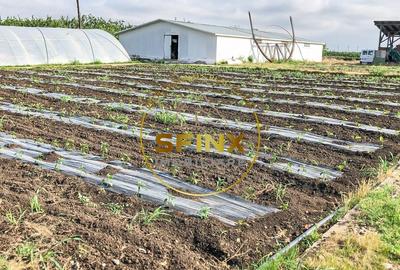 De vanzare ferma Calarasi in stare de conservare - sere - livada - 23