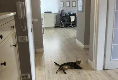 2 cam / 52 mp util / 58 total / loca parcare, mobilat utilat - 6