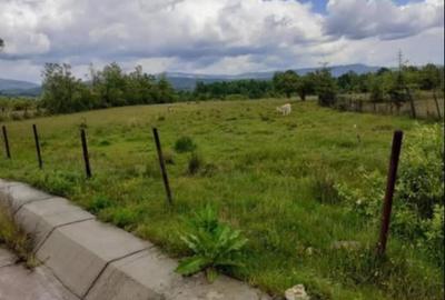 Teren 5000 mp, cu utilita?i, in comuna Crasna - 1