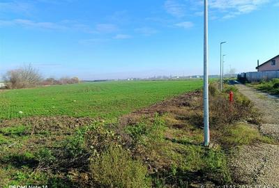 Teren extravilan 3759mp / fs 82ml / Otopeni / Drumul Garii - 7