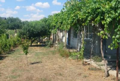 Casă cu 4 camere cu Teren 945 Mp în Cobadin - 7