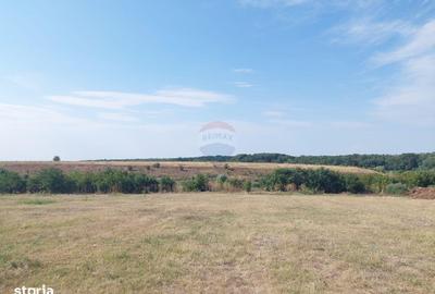 Spațiu comercial, în Grădiștea - 1